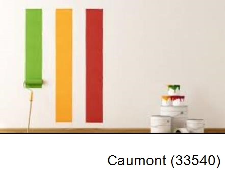 Peintre en rénovation Caumont-33540
