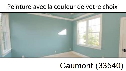 Peintre à Caumont-33540