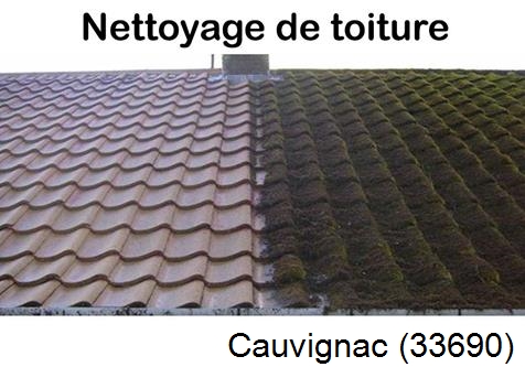 Travaux démoussage toiture Cauvignac-33690