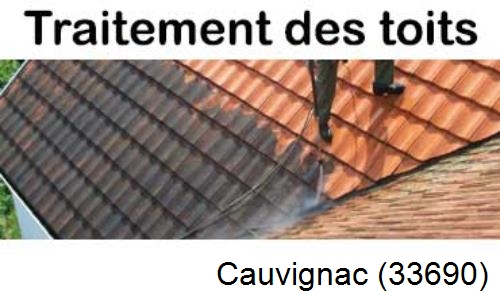 Entreprise de peinture toiture Cauvignac-33690