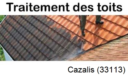 Entreprise de peinture toiture Cazalis-33113