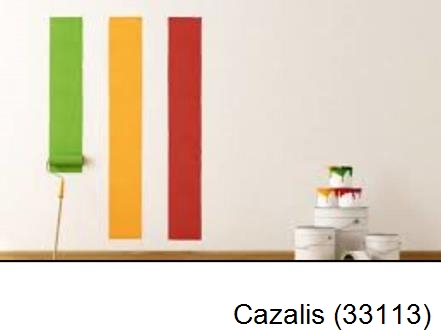 Peintre en rénovation Cazalis-33113