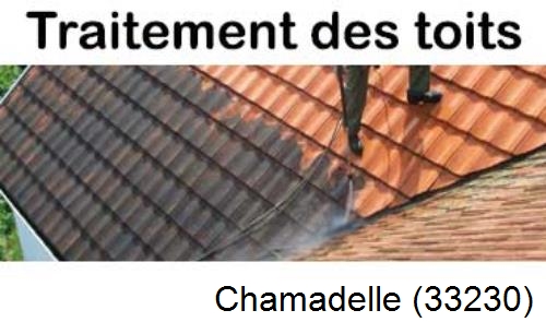 Entreprise de peinture toiture Chamadelle-33230