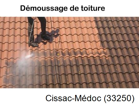 Rénovation démoussage et nettoyage en gironde Cissac-Médoc-33250