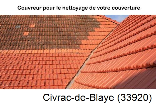 Avant après démoussage Civrac-de-Blaye-33920