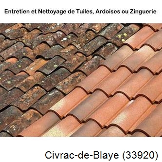 démoussage Civrac-de-Blaye-33920