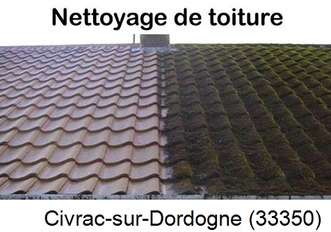Travaux démoussage toiture Civrac-sur-Dordogne-33350