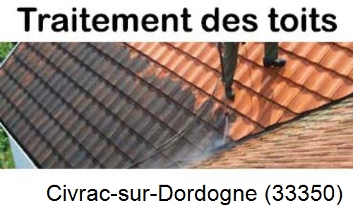 Entreprise de peinture toiture Civrac-sur-Dordogne-33350