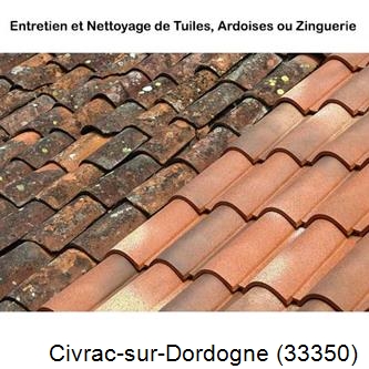 démoussage Civrac-sur-Dordogne-33350
