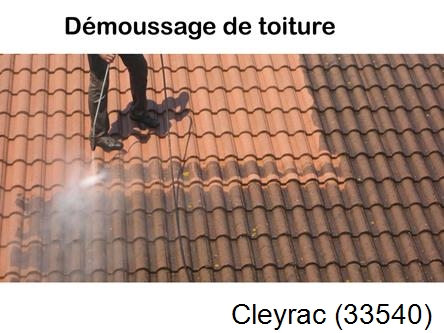 Rénovation démoussage et nettoyage en gironde Cleyrac-33540