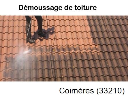 Rénovation démoussage et nettoyage en gironde Coimères-33210