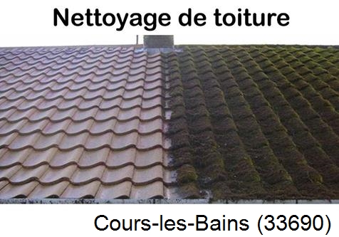 Travaux démoussage toiture Cours-les-Bains-33690