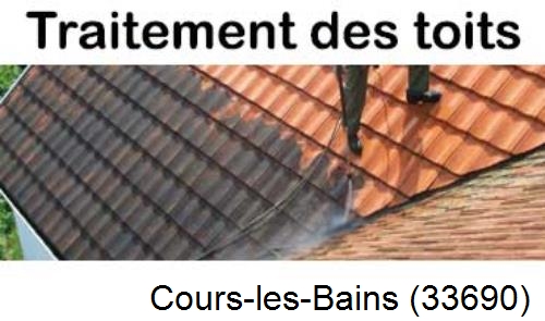 Entreprise de peinture toiture Cours-les-Bains-33690
