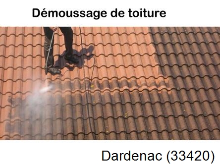 Rénovation démoussage et nettoyage en gironde Dardenac-33420