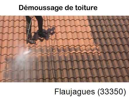 Rénovation démoussage et nettoyage en gironde Flaujagues-33350