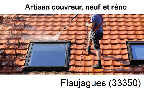 Anti-mousse sur toiture Flaujagues-33350