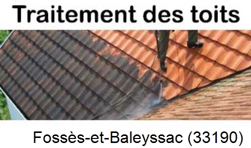 Entreprise de peinture toiture Fossès-et-Baleyssac-33190