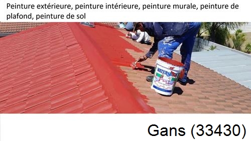 Peinture exterieur Gans-33430