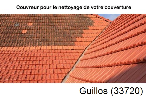 Avant après démoussage Guillos-33720