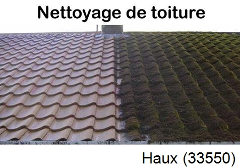 Travaux démoussage toiture Haux-33550