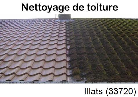Travaux démoussage toiture Illats-33720
