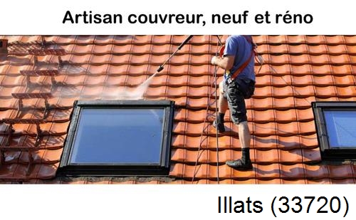 Anti-mousse sur toiture Illats-33720