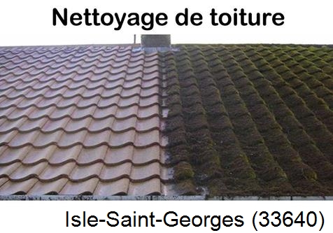 Travaux démoussage toiture Isle-Saint-Georges-33640