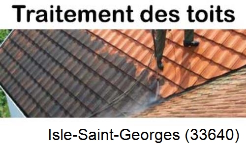 Entreprise de peinture toiture Isle-Saint-Georges-33640