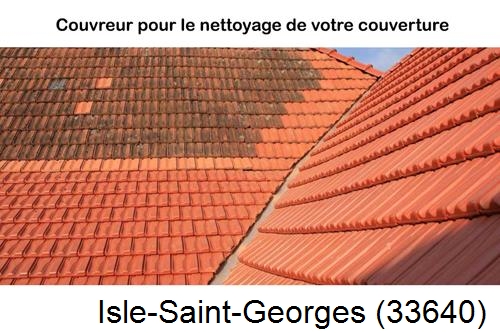 Avant après démoussage Isle-Saint-Georges-33640