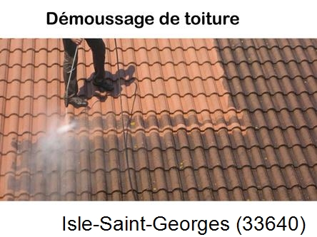 Rénovation démoussage et nettoyage en gironde Isle-Saint-Georges-33640