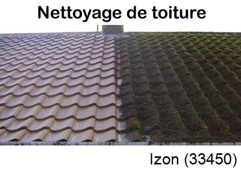 Travaux démoussage toiture Izon-33450