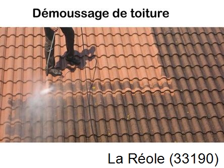 Rénovation démoussage et nettoyage en gironde La Réole-33190