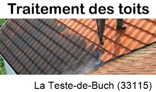 Entreprise de peinture toiture La Teste-de-Buch-33115