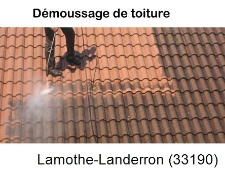 Rénovation démoussage et nettoyage en gironde Lamothe-Landerron-33190