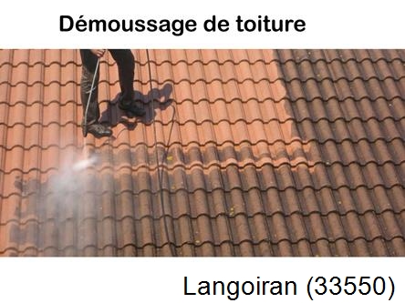 Rénovation démoussage et nettoyage en gironde Langoiran-33550