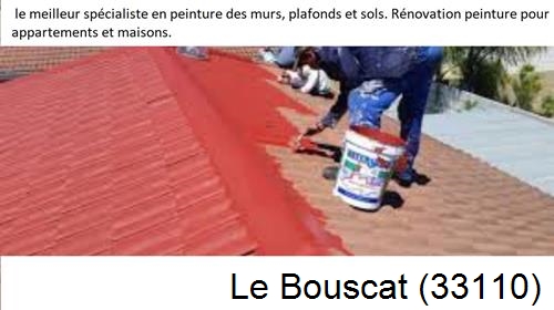 Artisan Peintre Le Bouscat-33110