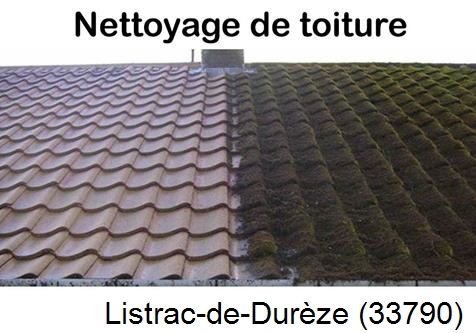 Travaux démoussage toiture Listrac-de-Durèze-33790