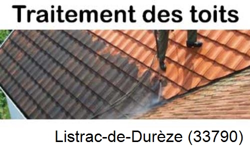 Entreprise de peinture toiture Listrac-de-Durèze-33790