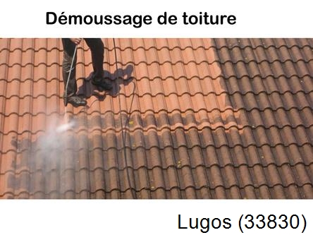 Rénovation démoussage et nettoyage en gironde Lugos-33830