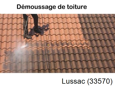 Rénovation démoussage et nettoyage en gironde Lussac-33570