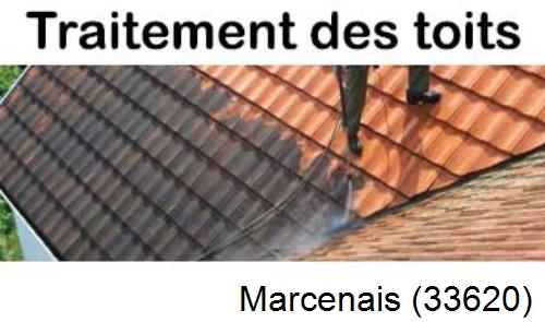Entreprise de peinture toiture Marcenais-33620