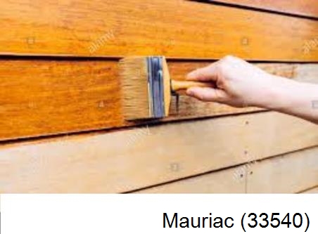 Peintre à Mauriac-33540