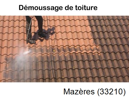 Rénovation démoussage et nettoyage en gironde Mazères-33210