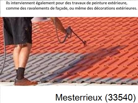 Rénovation peintre exterieur Mesterrieux-33540