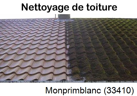 Travaux démoussage toiture Monprimblanc-33410