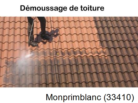 Rénovation démoussage et nettoyage en gironde Monprimblanc-33410