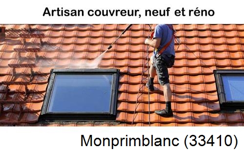 Anti-mousse sur toiture Monprimblanc-33410