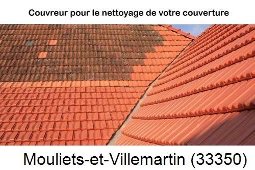 Avant après démoussage Mouliets-et-Villemartin-33350