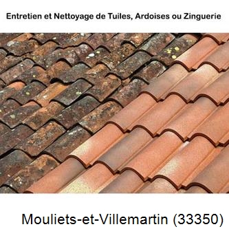 démoussage Mouliets-et-Villemartin-33350