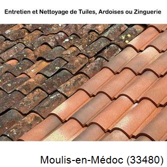 démoussage Moulis-en-Médoc-33480